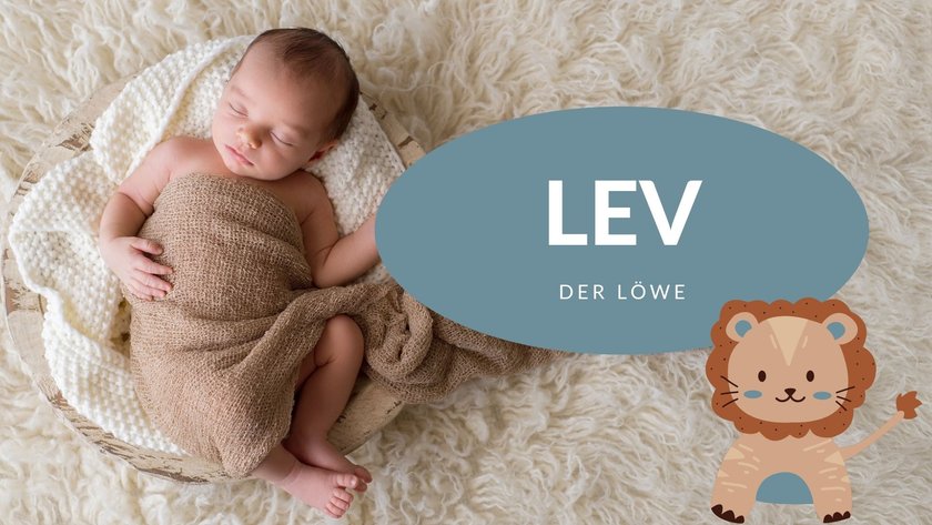 #17 Vornamen, die „Löwe" bedeuten: Lev