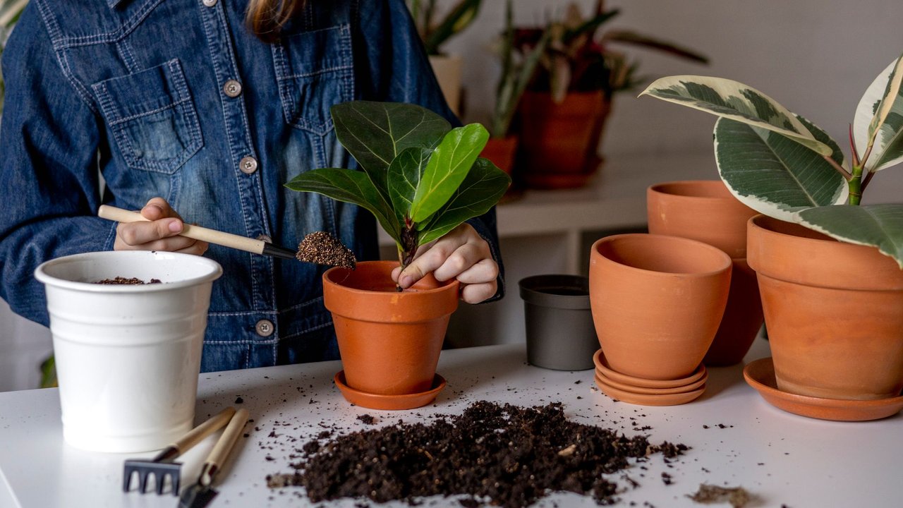 Blumenerde Test Stiftung Warentest