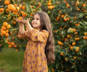 Wo wachsen Mandarinen? Wir beantworten spannende Kinderfragen