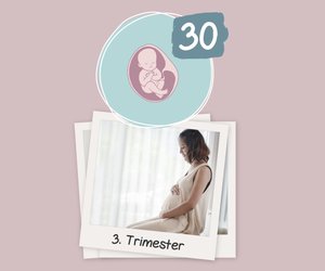 Die 30. SSW: Du spürst wahr­scheinlich Übungs­wehen und das Baby wird ruhiger