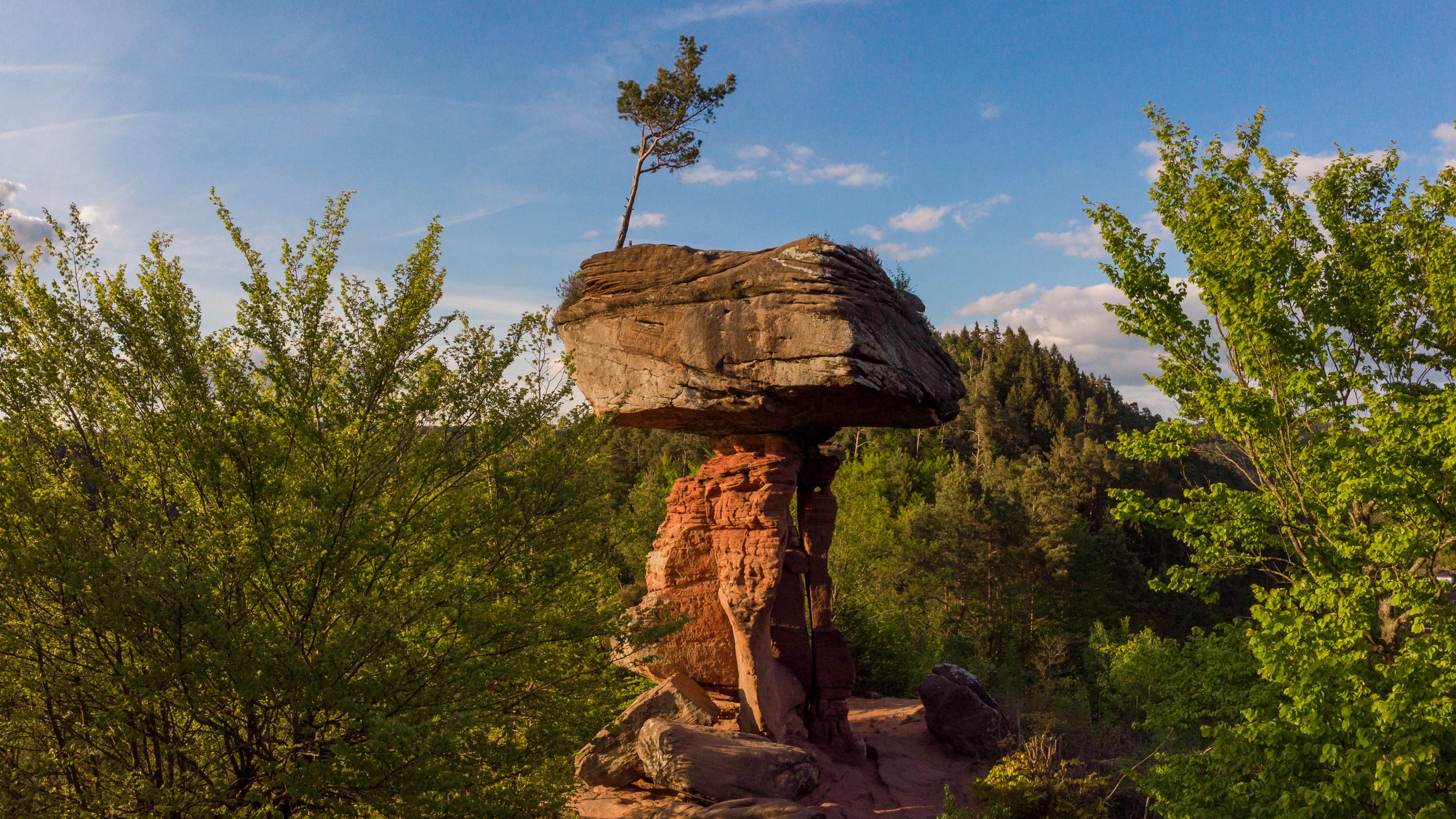 Teufelstisch Pfälzerwald Teufelstisch Pfälzerwald