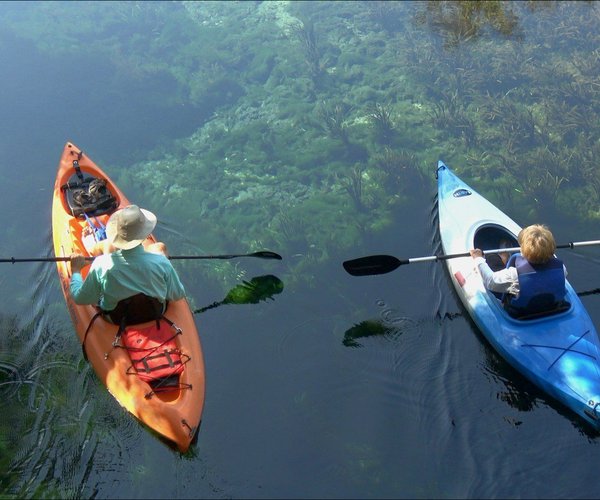 Ragout und Gulasch – Was ist der Unterschied?