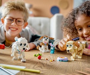 Amazon verkauft niedliches Hunde-Set von LEGO zum Schnäppchenpreis