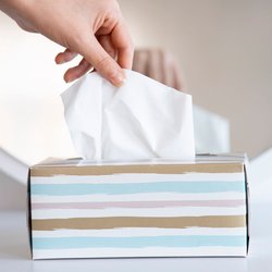 Bastelspaß garantiert: Diese DIYs mit leeren Taschentuchboxen machen gute Laune