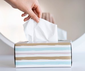 Richtig cool: Diese DIYs mit Taschentuchboxen müsst ihr euch für die Erkältungssaison merken