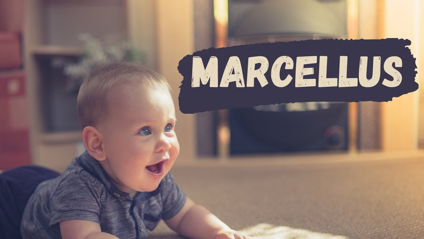#12 Name mit Bedeutung "Stärke/KämpferIn": Marcellus