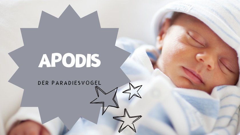 #15 Vornamen nach Sternbildern: Apodis