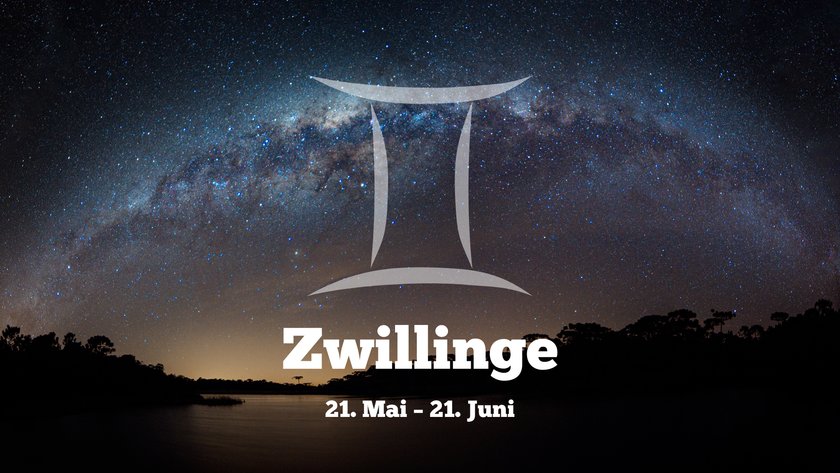 Zwillinge