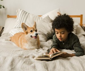 12 Kinderbücher mit Hunden, die alle Kinder lieben