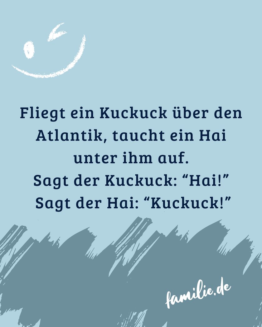 Trifft ein Hai einen Kuckuck