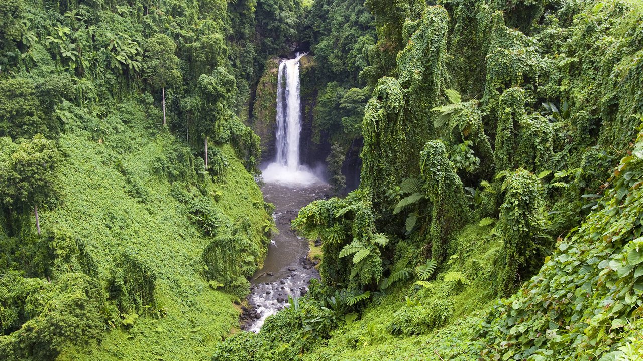 Samoa Wasserfall im Regenwald