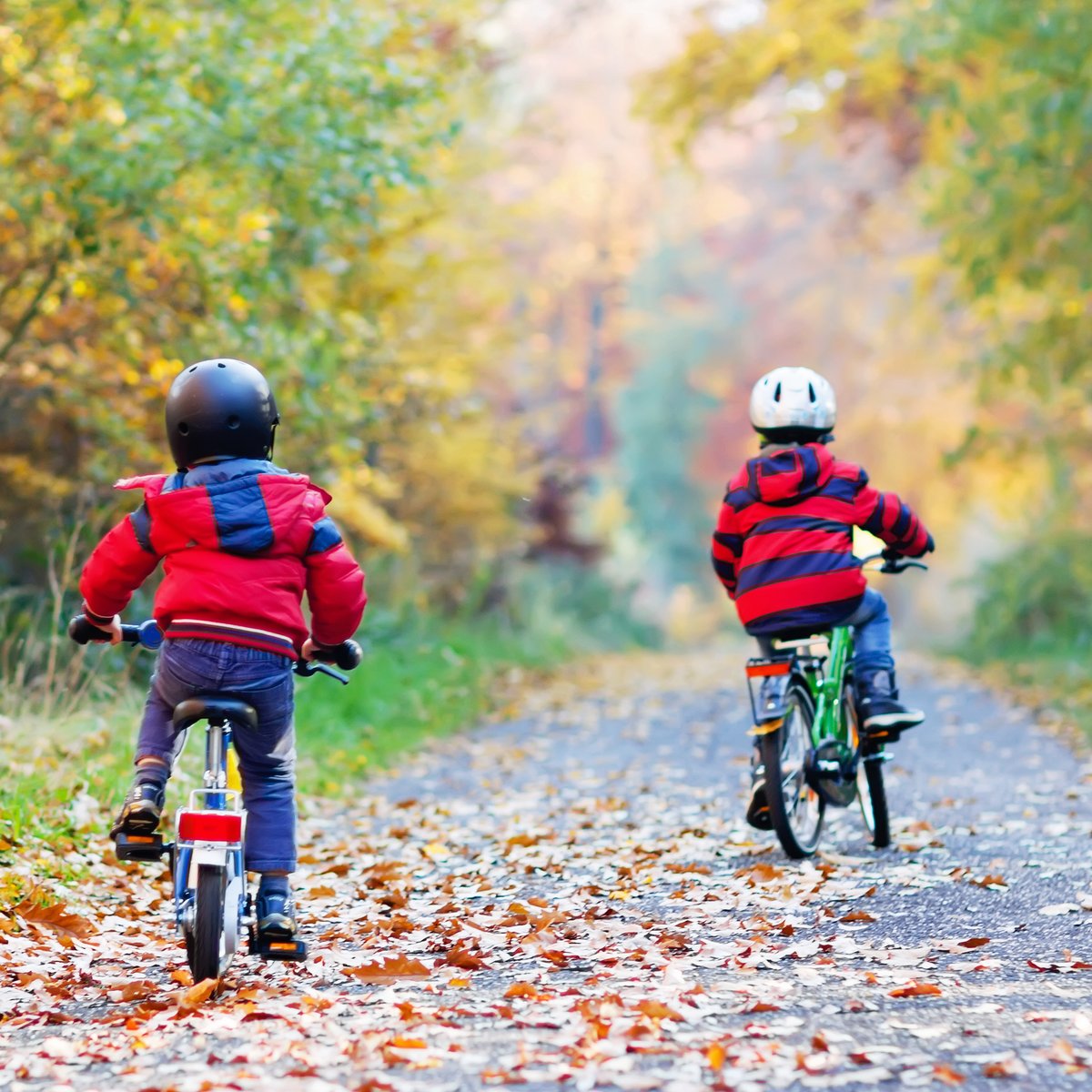 Kinderfahrrad-Test: Die 5 besten Einsteigerbikes