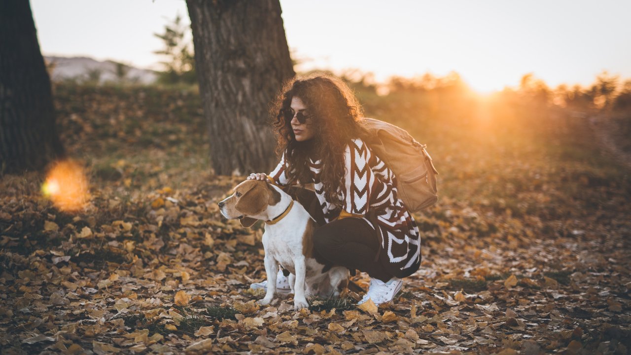 Tchibo bietet für die dunkle Jahreszeit im Herbst genau das Richtige für Hunde.