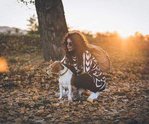 Gassi und Spazierengehen im Herbst: Diese Sachen begeistern euren Hund