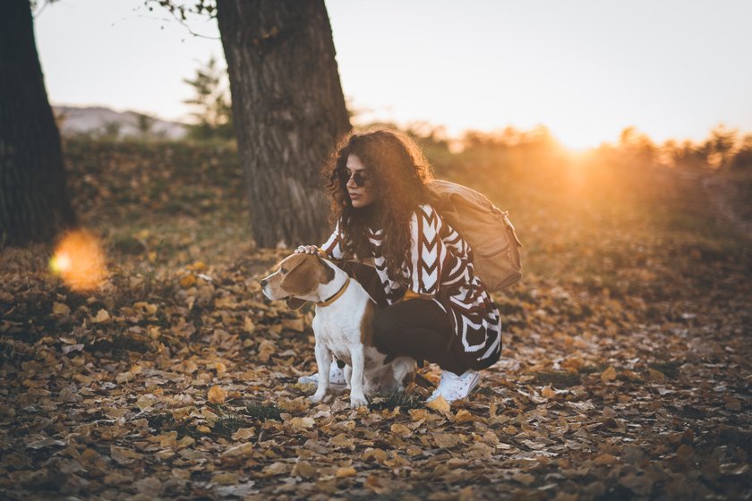 Tchibo bietet für die dunkle Jahreszeit im Herbst genau das Richtige für Hunde.