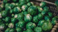 Rosenkohl einfrieren: Mit unseren Tipps klappt es