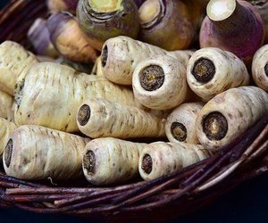 Wissenswertes über Gemüse: Was sind Pastinaken?