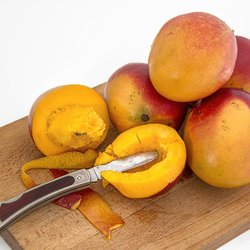 Dürfen Katzen Mango essen: Vertragen Samtpfoten die Frucht?