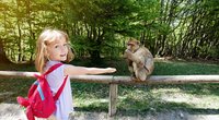 Kinderfilme mit Affen: Neues aus dem Dschungel