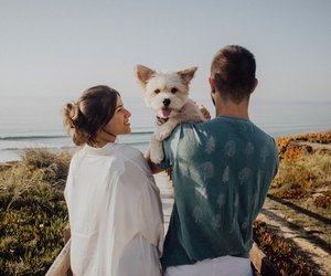 Psychologie: Ich, du, Hund - Warum immer mehr junge Erwachsene kinderlos bleiben