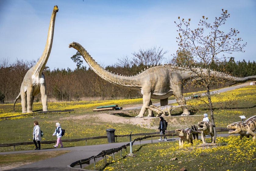 Der Freizeitpark in Germendorf bietet spektakuläre Attraktionen.