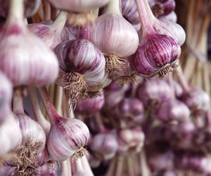 Knoblauch und Stillen: Sollte man verzichten?