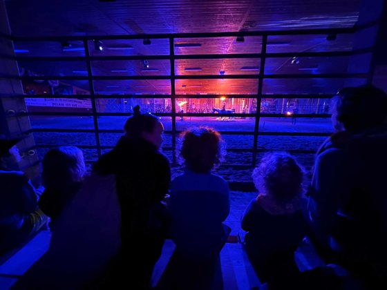 Harz mit Kindern: Besonders begeistert waren die Kinder auch von der Pferde-Stuntshow. Das Show-Programm in Pullman City wechselt regelmäßig.