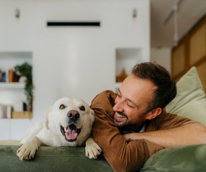 7 Gründe, warum Hunde wahre Wunderwesen sind