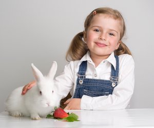 Dürfen Kaninchen Erdbeeren essen?