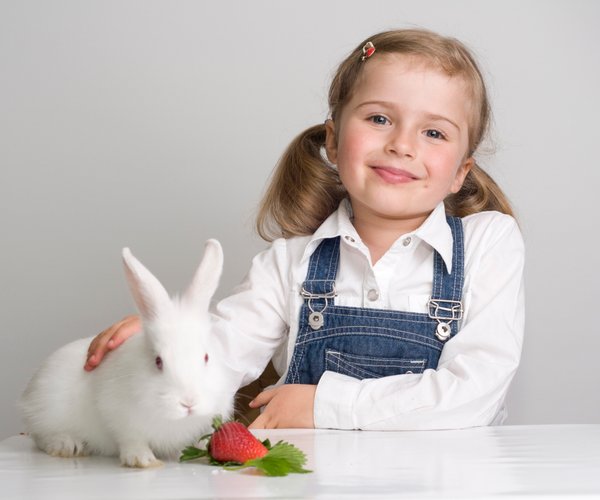 Wie viel kostet ein Kaninchen? Mit diesen Ausgaben ist zu rechnen