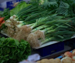 Kinderfrage: Was sind Frühlingszwiebeln und wie wachsen sie?