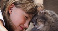 Liebe auf vier Pfoten: Katzen helfen Kindern