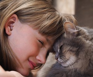 Liebe auf vier Pfoten: Katzen helfen Kindern