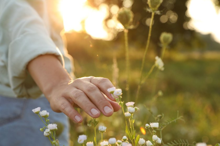 Frau berührt sanft Blumen auf einer Wiese