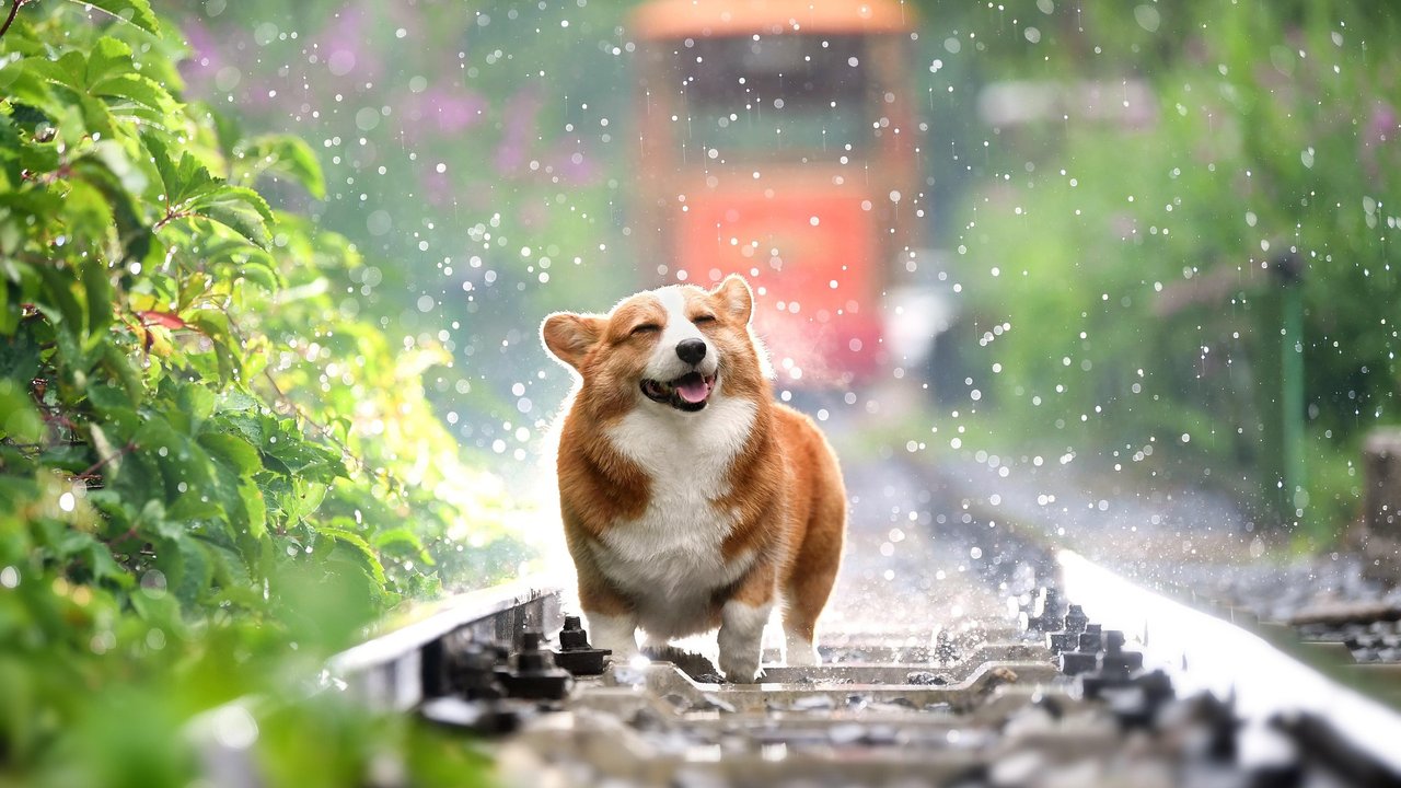 An lauen Sommertagen riecht der Regen angenehm nach dem unverwechselbaren Petrichor.