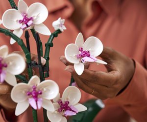 Perfekt für LEGO-Fans zum Muttertag: So verschenkst du Blumen mal anders