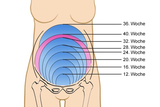 Ssw Alles Uber Die Schwangerschaftswoche Familie De