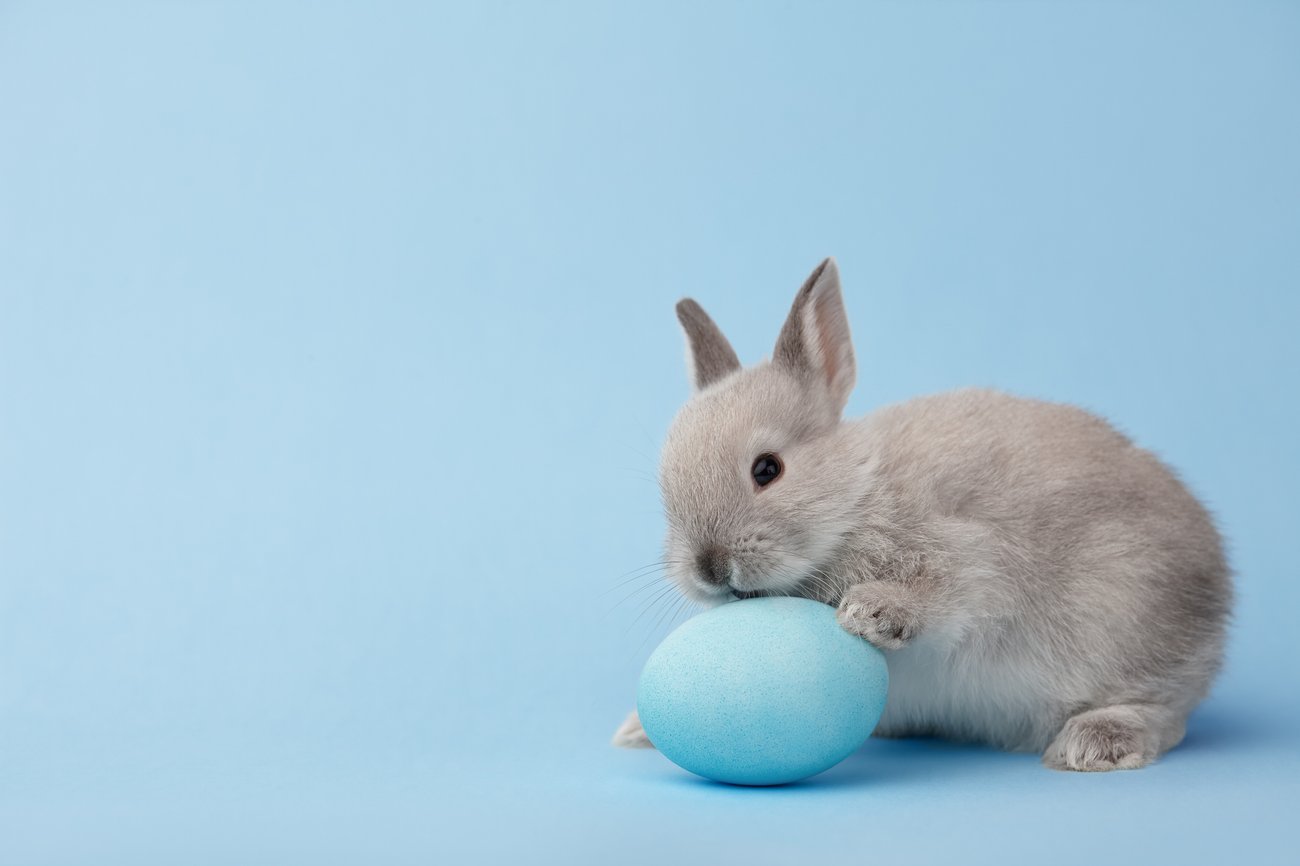 Ostergrüße für Kinder Ostergrüße für Kinder