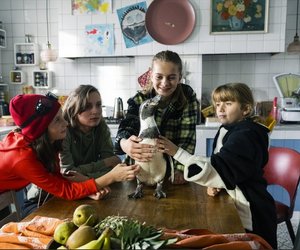 Cooler Pinguin und vier noch coolere Schwestern: Warum alle Pinguin Paul lieben