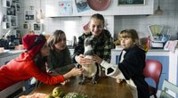 Für euren Filmabend mit den Kids: "Die Chaosschwestern und Pinguin Paul" jetzt auf DVD & Blu-ray