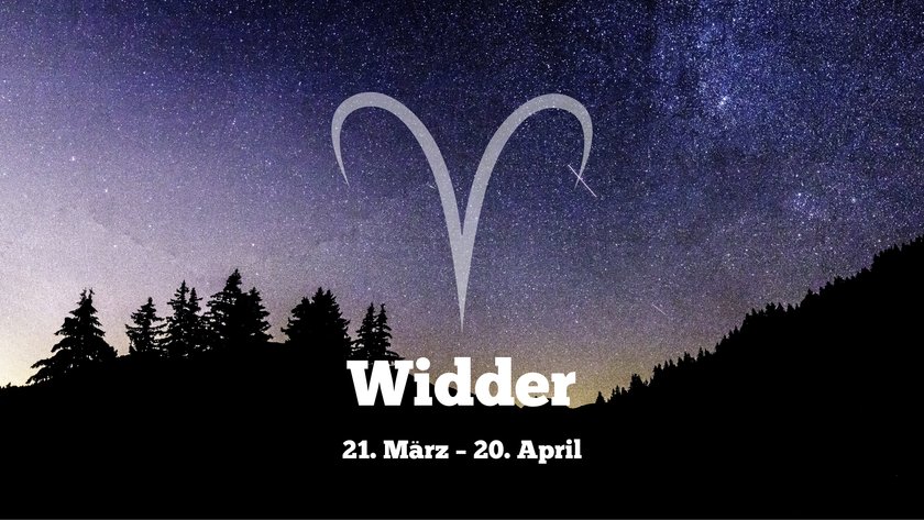 Widder