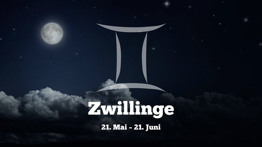 Zwillinge