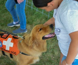 Vierbeinige Profis: Diese Hunde meistern beeindruckende Berufe