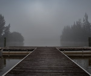 Hast du Frank Schätzings „Der Schwarm“ verschlungen? Diese Bücher sind genauso mitreißend