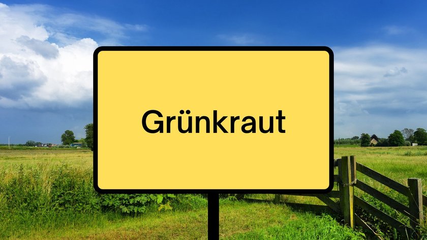 #22 lustige Ortsnamen: Grünkraut