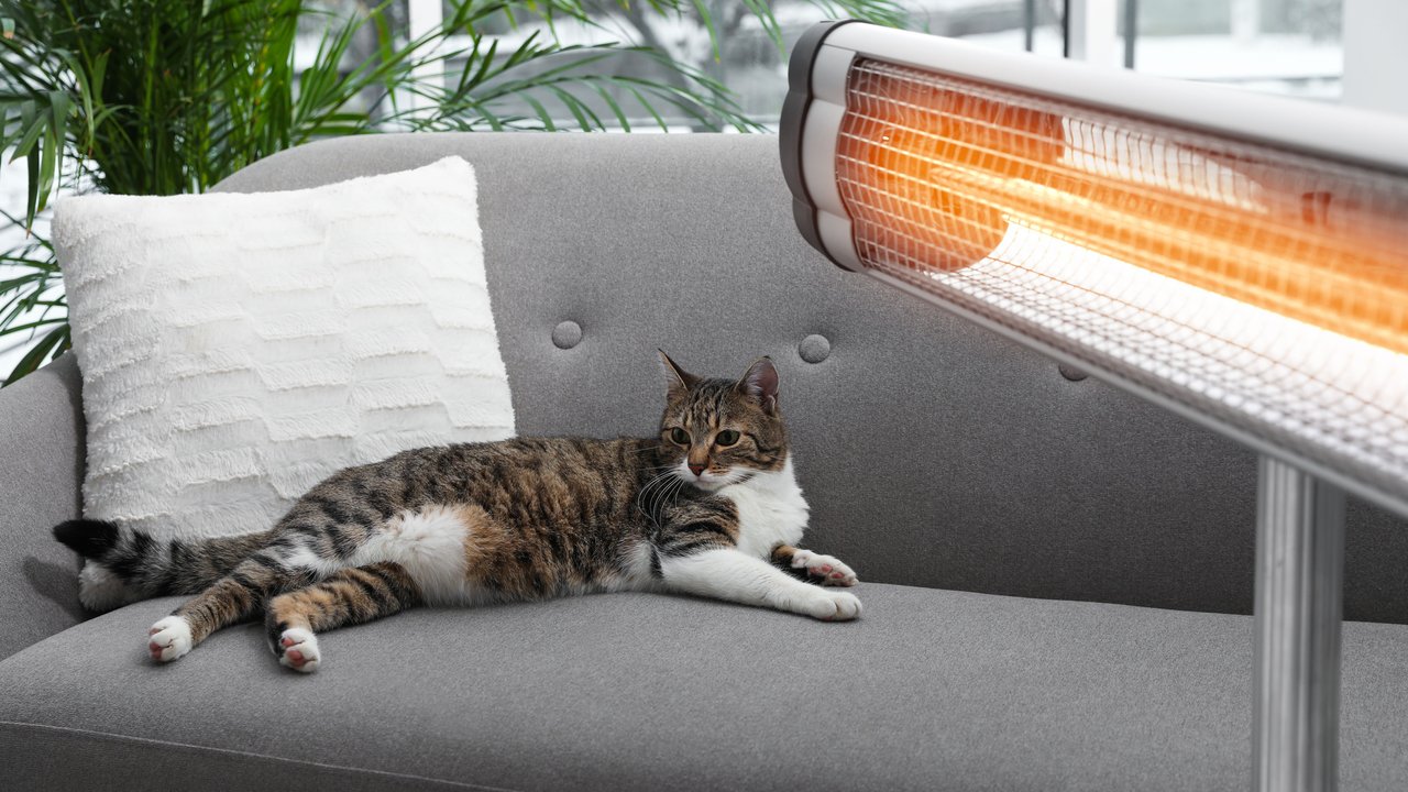 Katze liegt gemütlich vor einem Infrarotstrahler