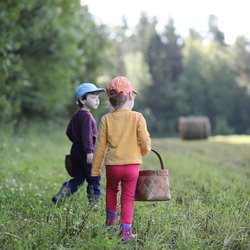 Hyalomma-Zecke: Was zu tun ist, wenn ihr die Riesen-Zecke findet