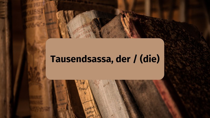 Tausendsassa, der / (die)