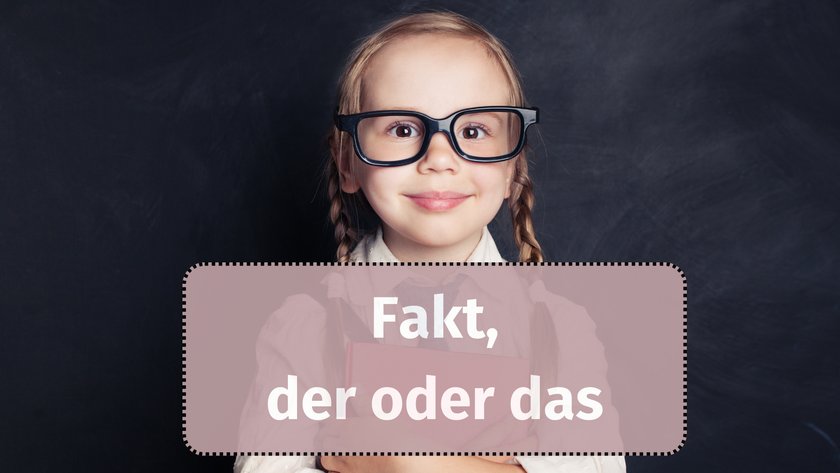 Fakt, der oder das