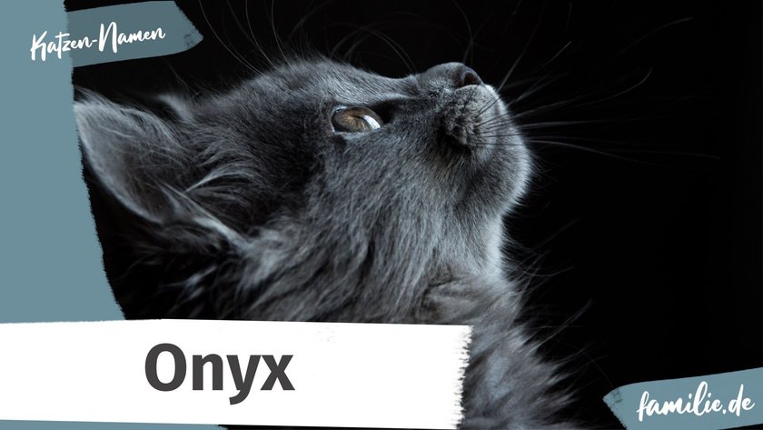 Namen für graue Katzen: Onyx